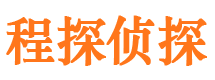 连山调查公司